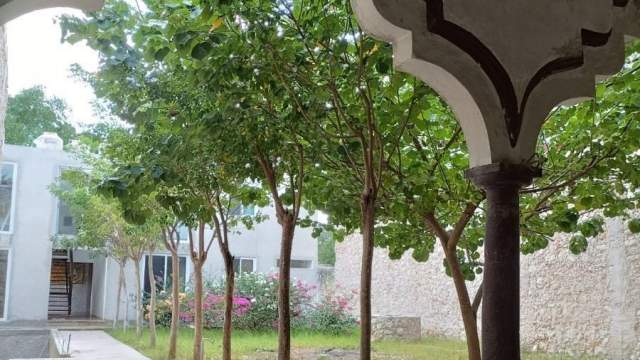 Casona colonial con espacios amplios y gran potencial, en el centro de Mérida.