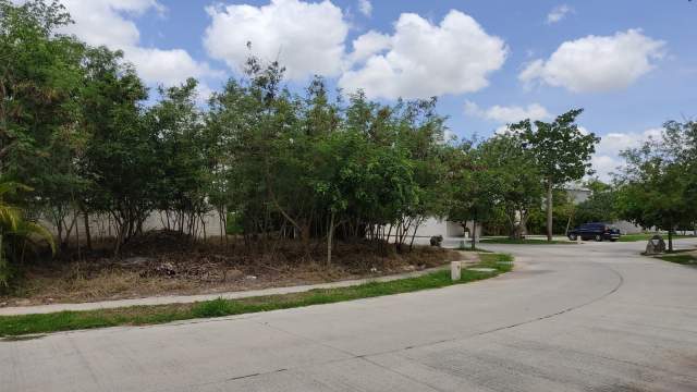 Terreno en esquina dentro de privada con amenidades.