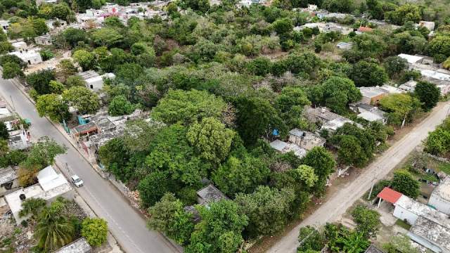 ¡Oportunidad de inversión! terreno en Ticopó, cerca de Mérida.