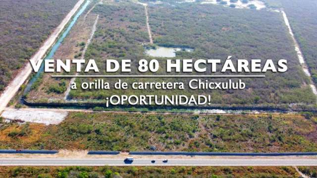 Terreno de 80 hectáreas a la orilla de carretera Chicxulub.