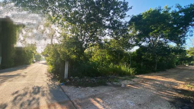 Terreno en esquina, de 389m2, ubicado en Cholul.