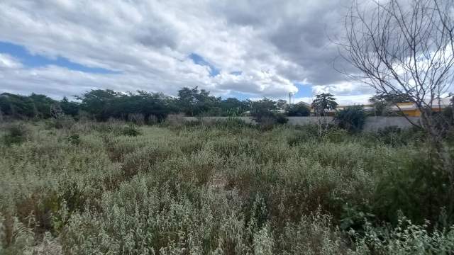 Terreno para DESARROLLO, ubicado en Sitpach.