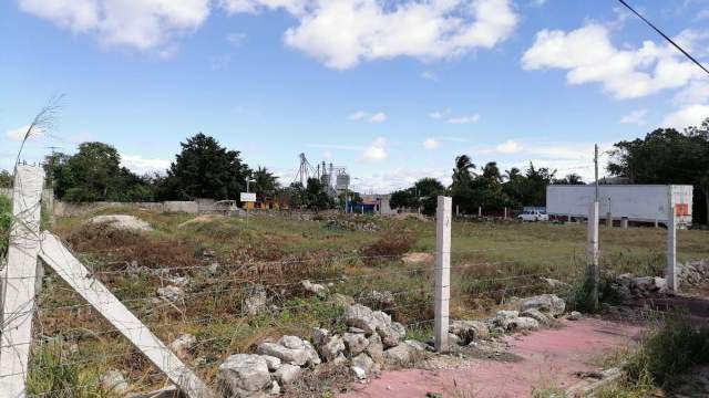 Terreno en esquina en la colonia El Roble Agrícola.