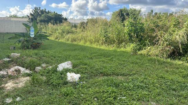 Terreno en Dzityá, cercano a Las Américas, con casas a su alrededor.