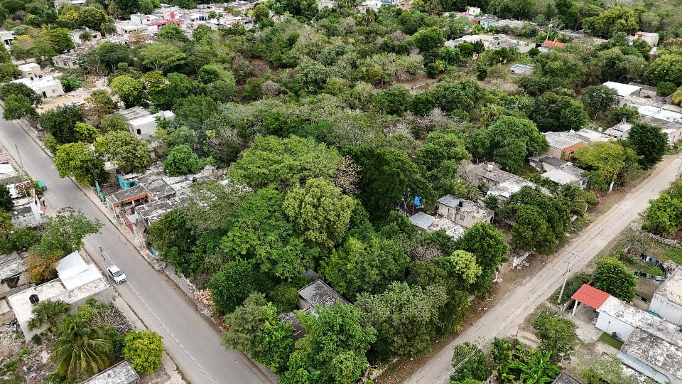 ¡Oportunidad de inversión! terreno en Ticopó, cerca de Mérida.