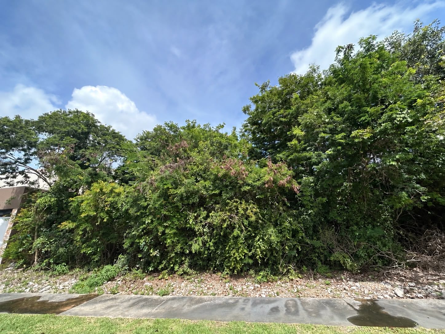 Terreno en venta en El Cortijo, con amenidades.