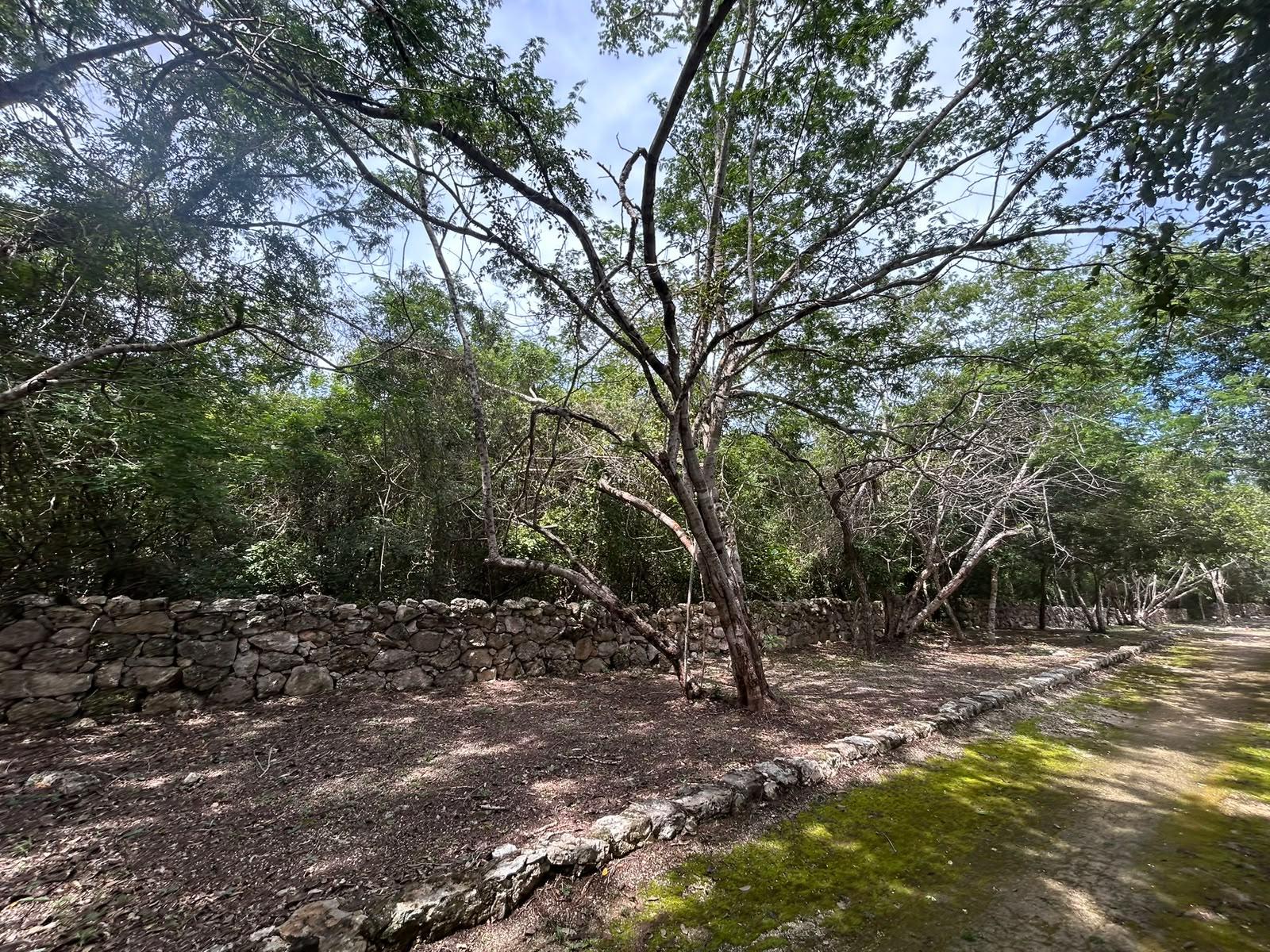 Terreno en Puerta Mayab.