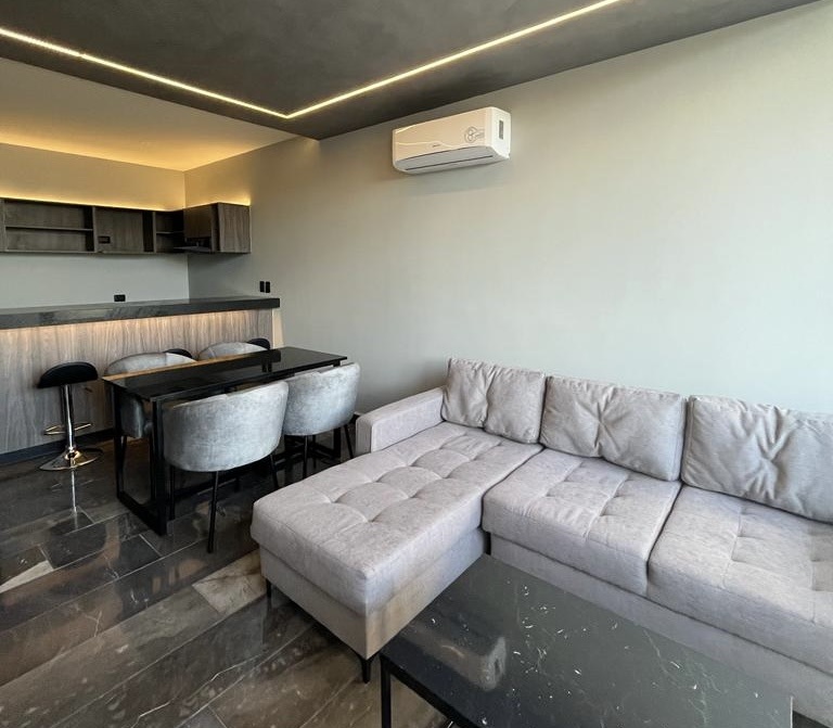 Departamento de 2 habitaciones, amueblado, en torre con amenidades.