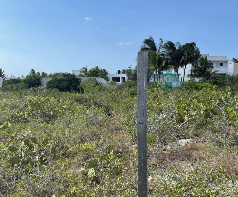 Terrenos en 4ta fila en Chicxulub, a la altura del retén y Oxxo.