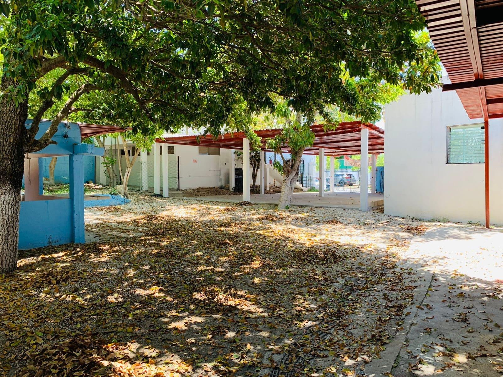 Terreno de 500 m2, para negocio, ubicado en calle transitada.