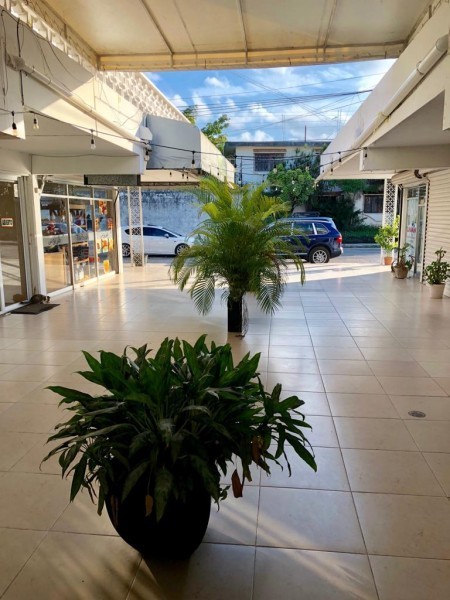 Local en plaza comercial ideal